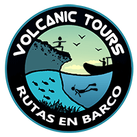 logo volcanic tours